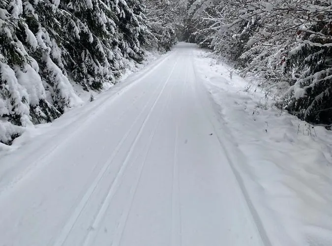 Nyaraló Chalupka Pod Lipami *